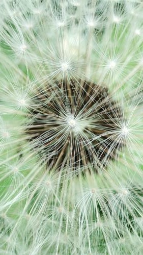 ���������. 