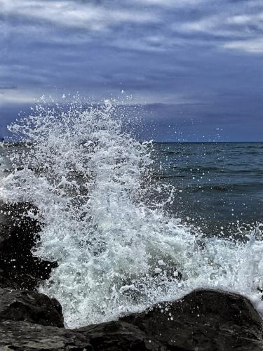 ���� ���������