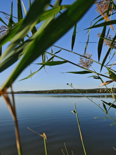 ������� ���������