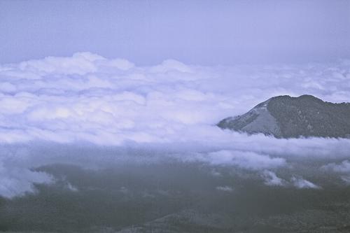 ������� ������� ����