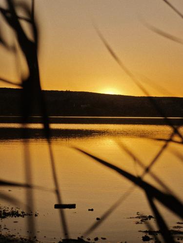 �������� ��������