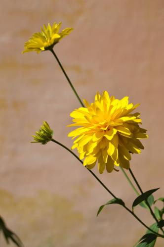 ������� ���