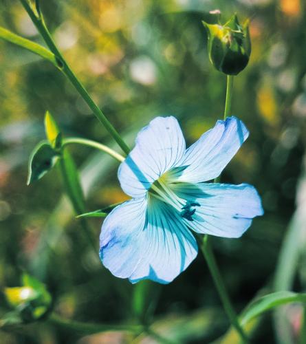 �������� ������