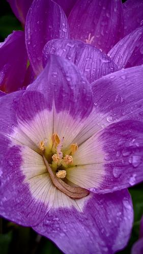 ������ ������ ������ 