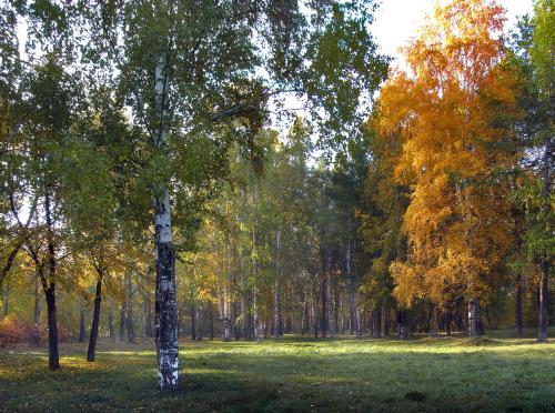 ������� ����