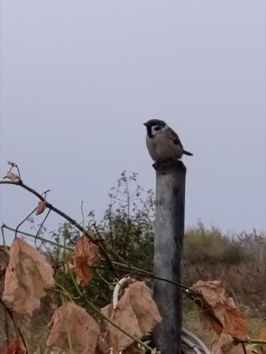 1759153749