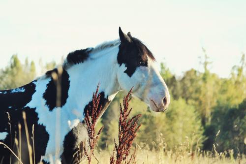 �������