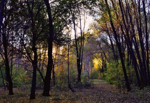 ������� �����