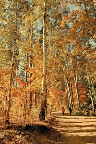 �������� �����