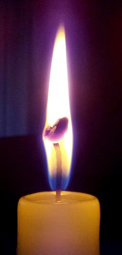 �������� ������