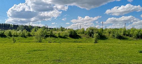 ������ ����