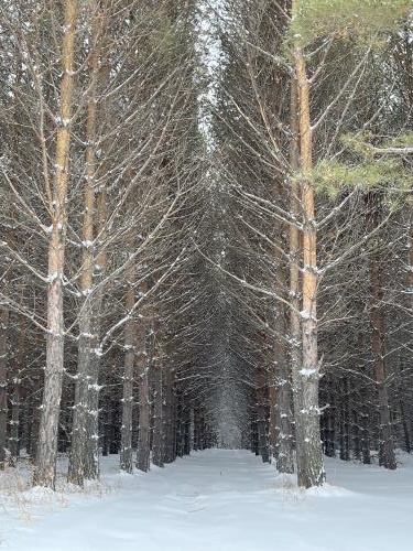 ������ � ���  