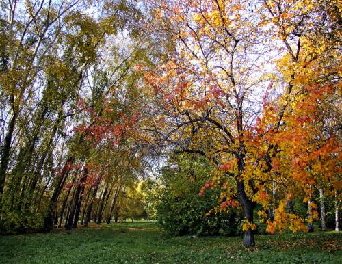 ������ �����