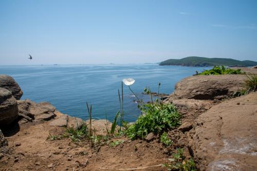 ��� ��������