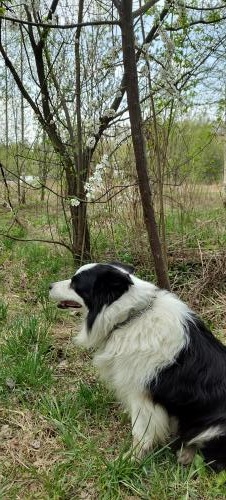 �� ��������. 