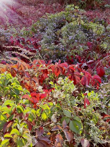 ������� �����!