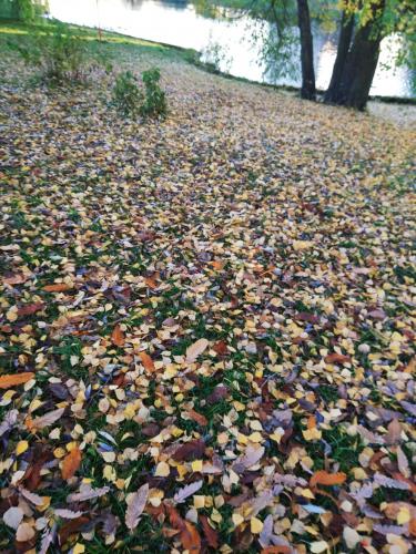 ������� �����!