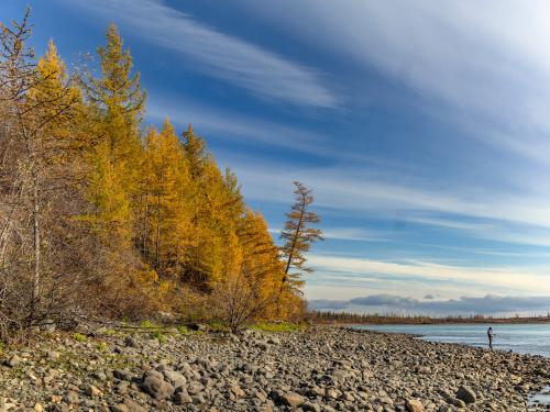 �������� ������ �������, ���� ��������� 