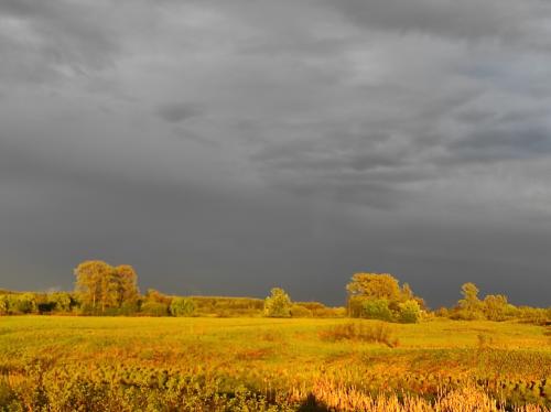 �� ���� ������ ������