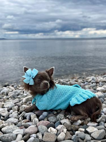 ������� �����