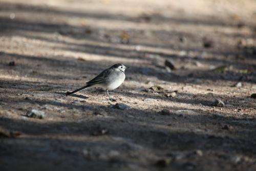 ���������� � �����