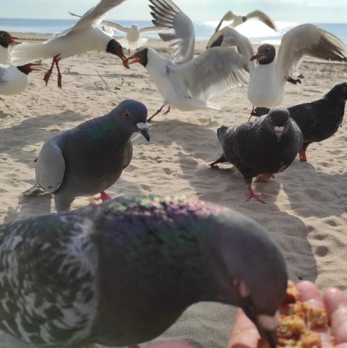 ������������ �����. �������� ����������.