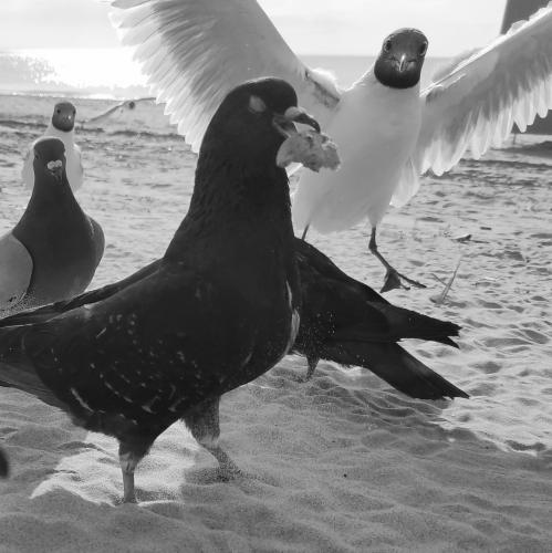 ��������