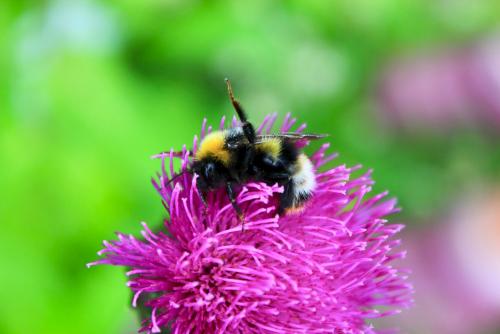 ����� � ��������