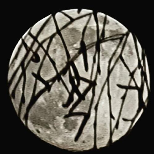 �����, ���, ����