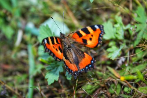 �������