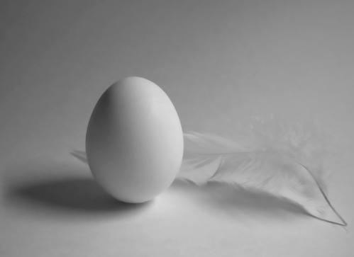 ���������� ��������: 