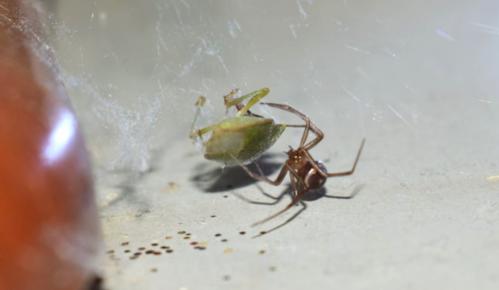 ���� � �������