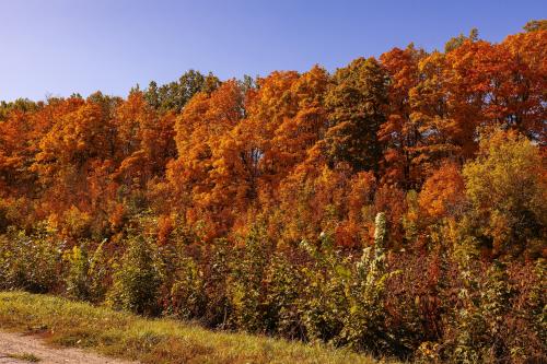 ������� �����