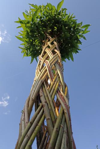 ������� ������