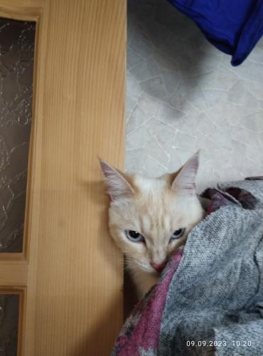 ������11