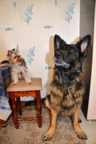 ��, ����, ��� ���?