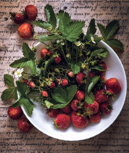 ���� ����