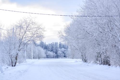 ������ ������