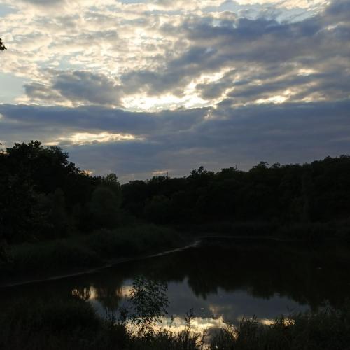 ��� ���� ���� � ����