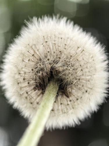 ��������� ��������