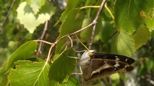 �� � ��� �� ��� �������?