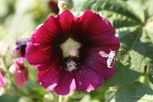 ������ ����� �� ������!