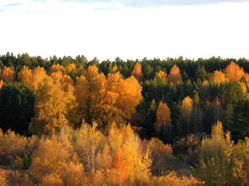 ������� ��� 