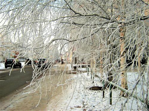 ������ ���� � ������������.