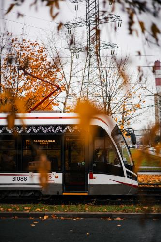 ������� ��� ������������ ���������!