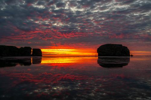 ���������� ��������: ������������ �������