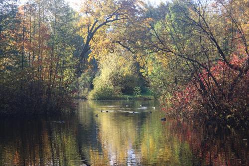 ������� �����