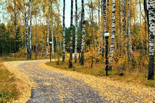 ������� �������