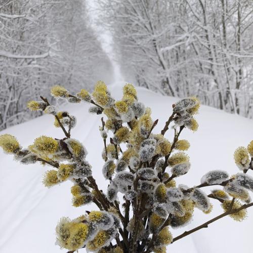 ���� � ���