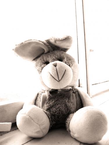 ������ �������